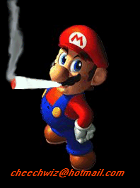 mariotokes.gif