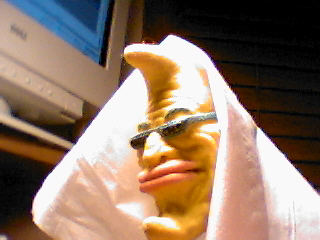 picture40.jpg