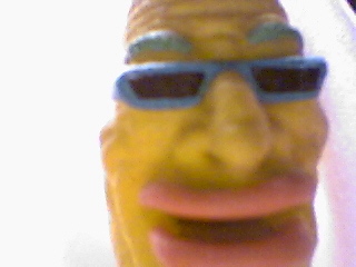 picture42.jpg