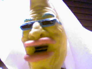 picture43.jpg