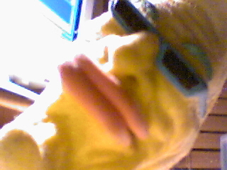 picture45.jpg